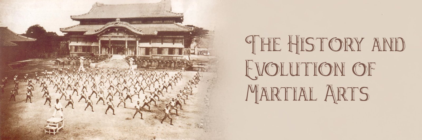 The History and Evolution of Martial Arts